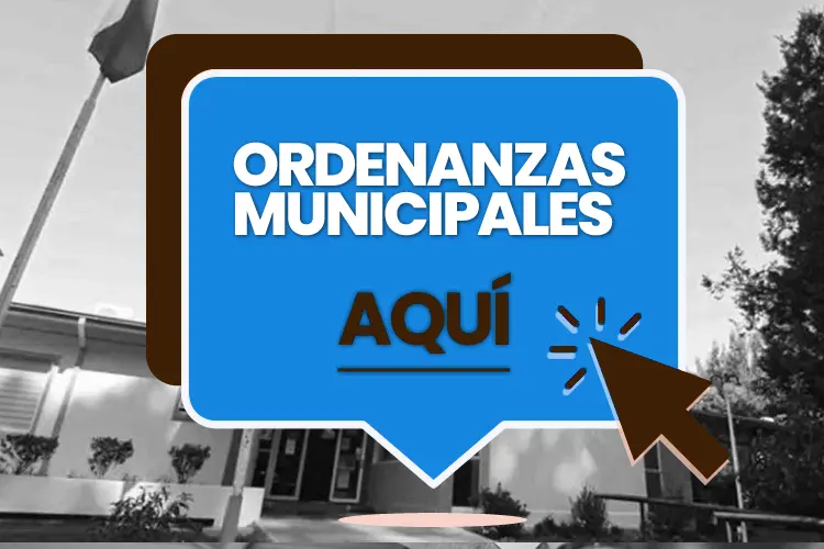 Juzgado de Policia Local Chiguayante — foto 3 de 4